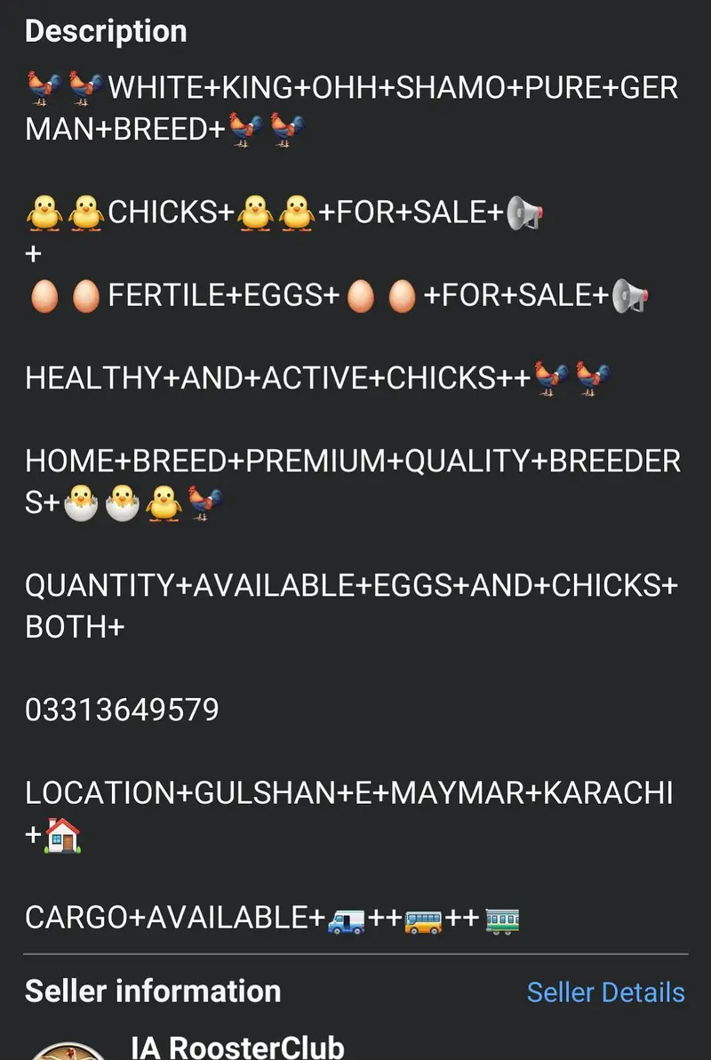 King Shamo White Chick's and Eggs for sale — photo 2