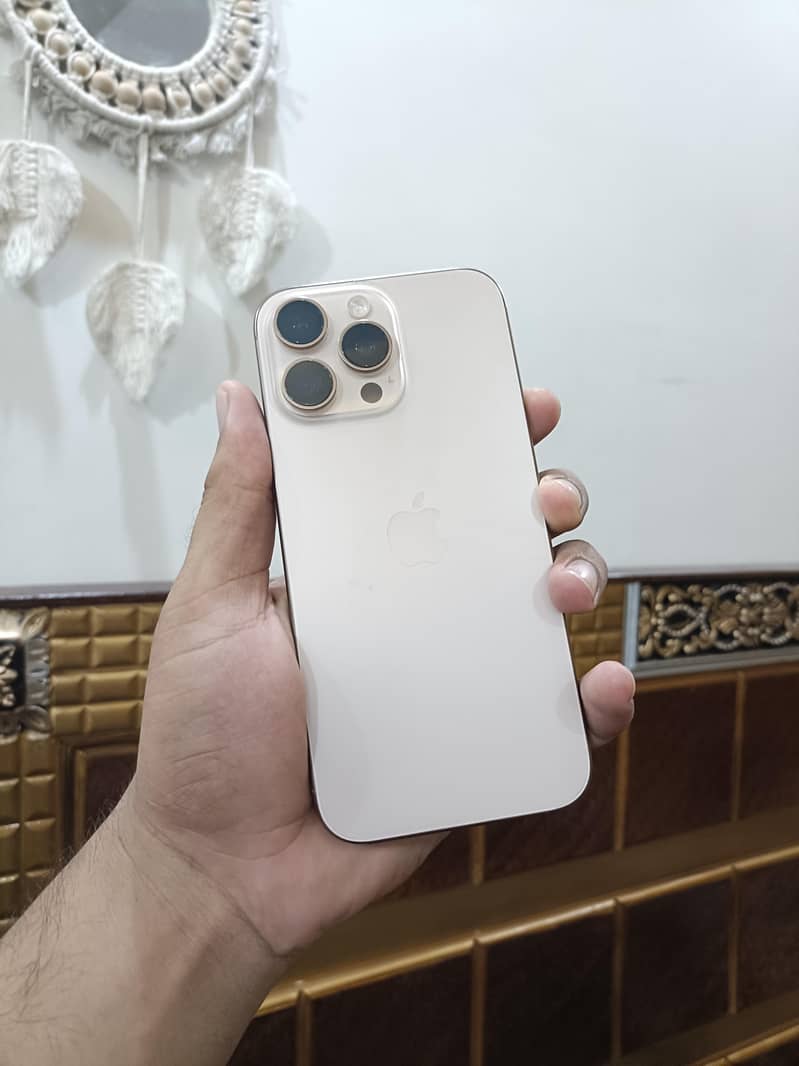 Apple iPhone 16 Pro Max 1