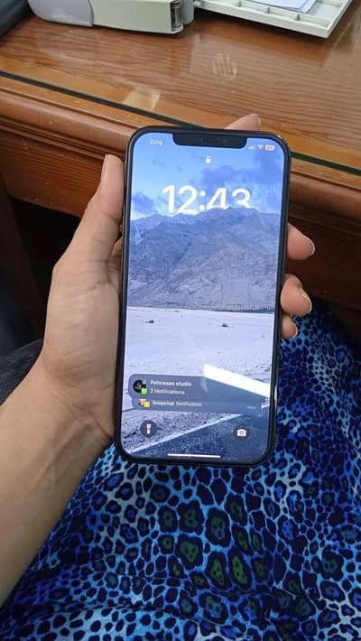 Apple iPhone 12 Pro Max
