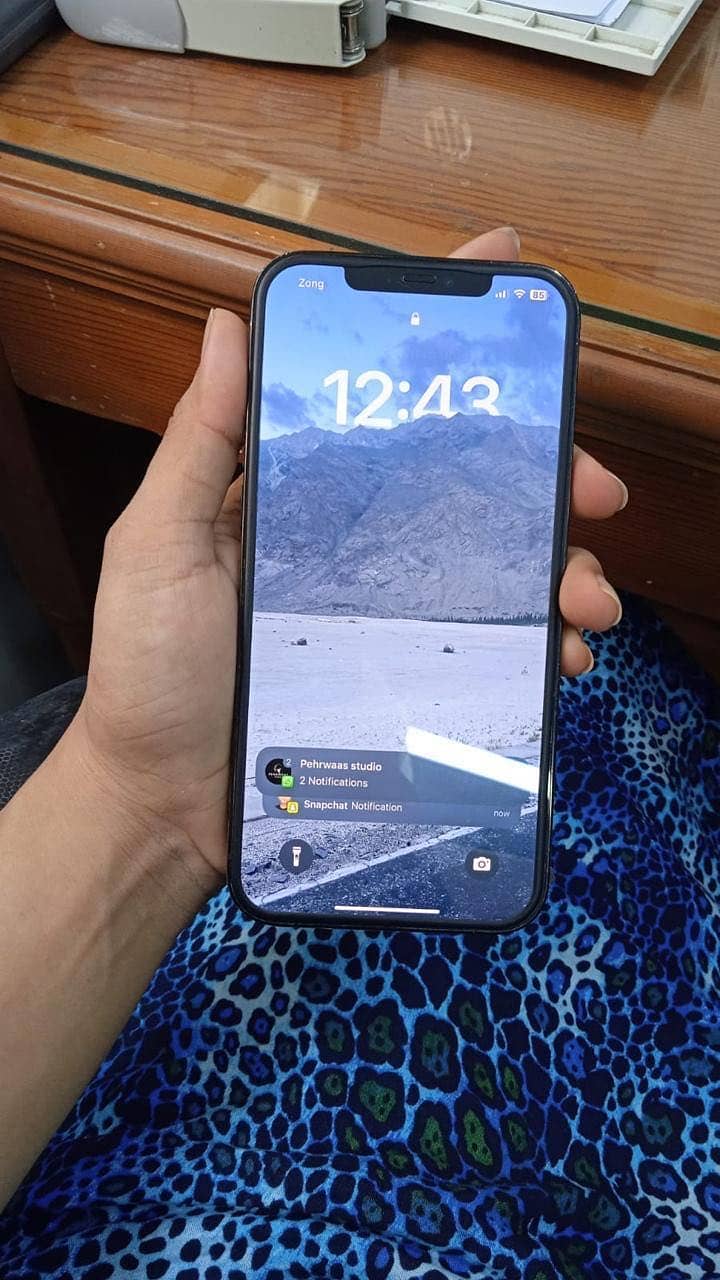Apple iPhone 12 Pro Max 0