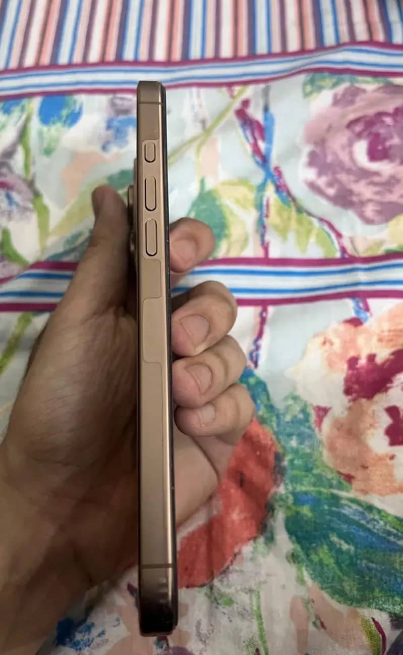 Apple iPhone 16 Pro Max 1