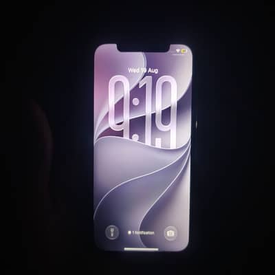 iPhone 12 Pro factory unlock exchange possible
