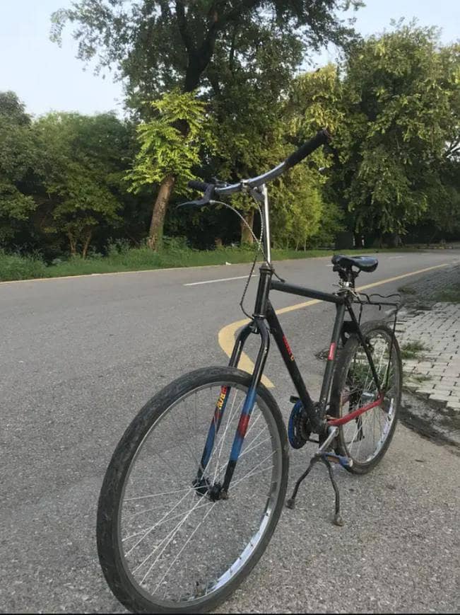 PHONEX cycle 1