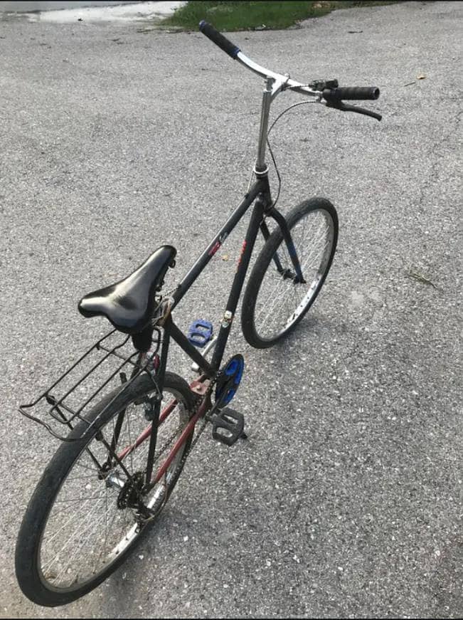 PHONEX cycle 3
