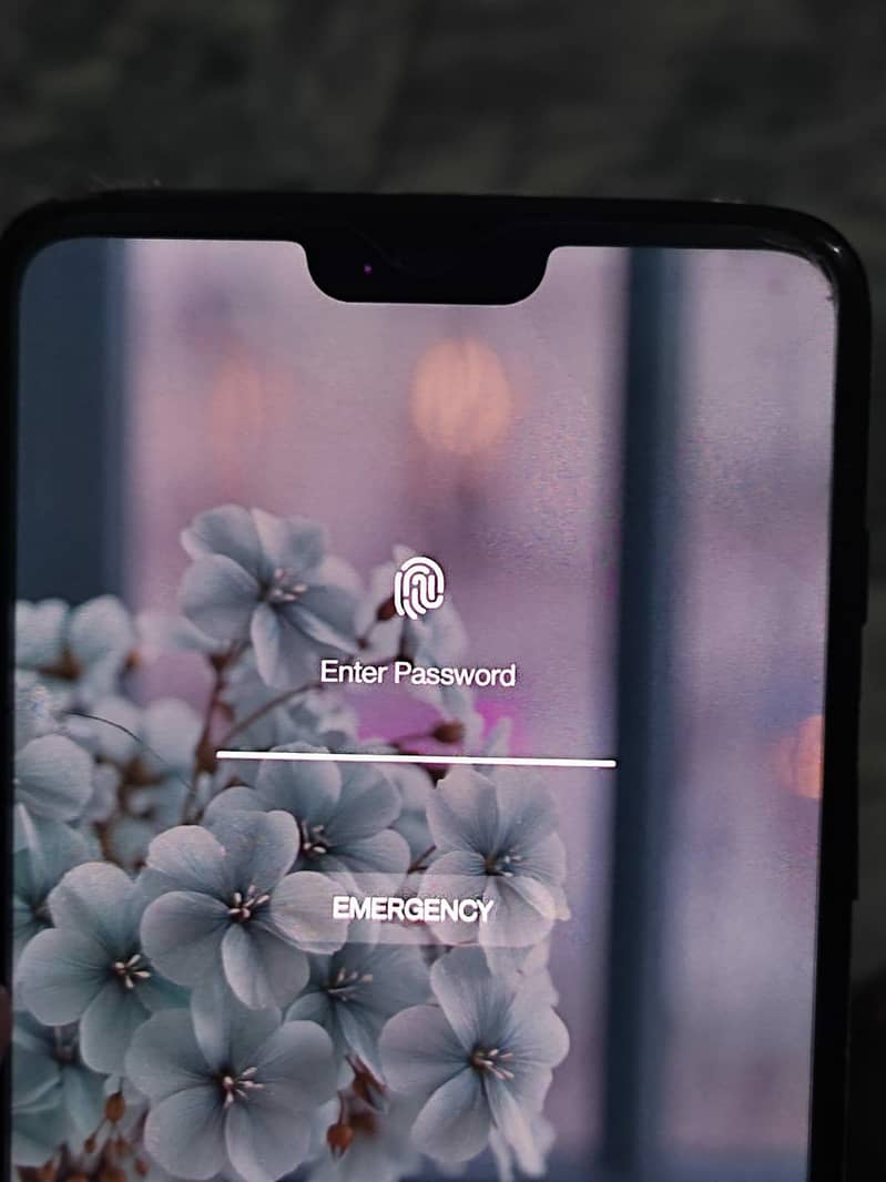 One Plus 6 14