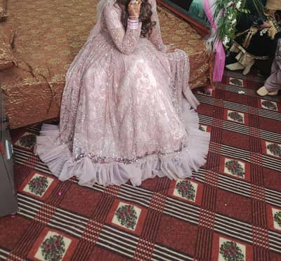 walima maxi