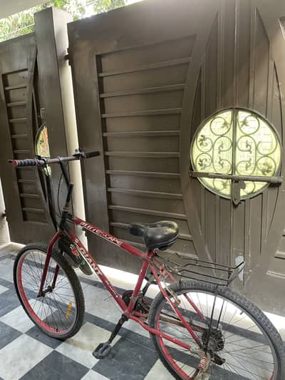 Bicycle for adult