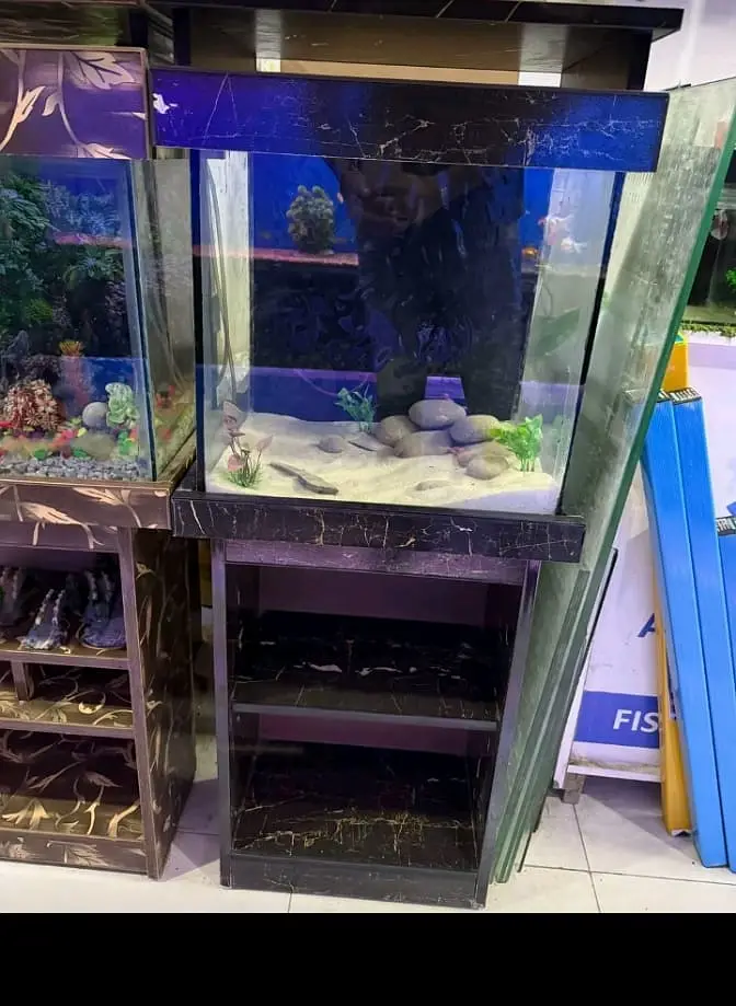 All fish Big discount offer 03268301979 — photo 3