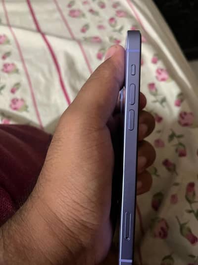 Apple iPhone 12 official Pta