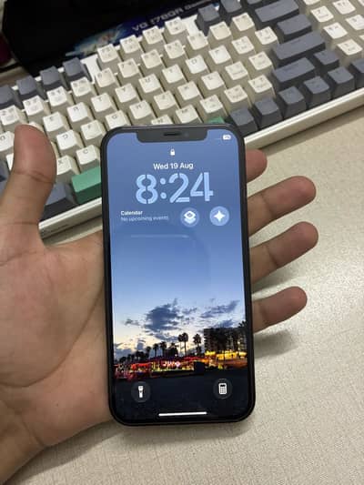 Apple iPhone 12 Pro