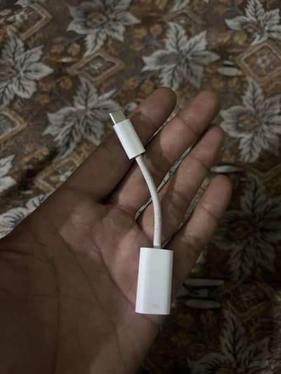 Apple Magsafe Cable + Type C Connector