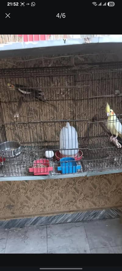 Cocktail pair for sale