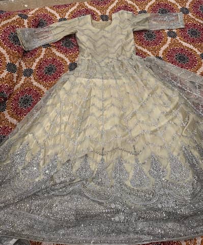 Beautiful Chiffon & Net Maxi Dress