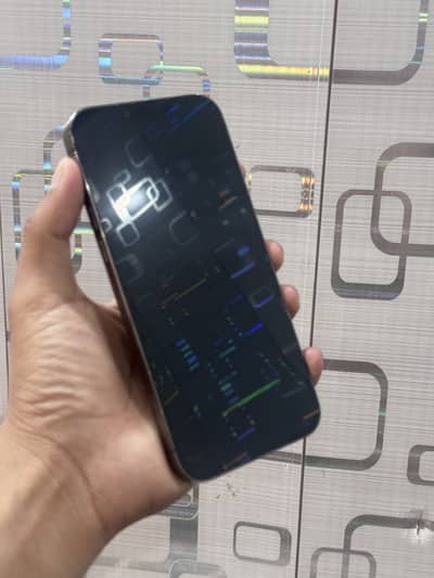 iPhone 13 Pro Max JV