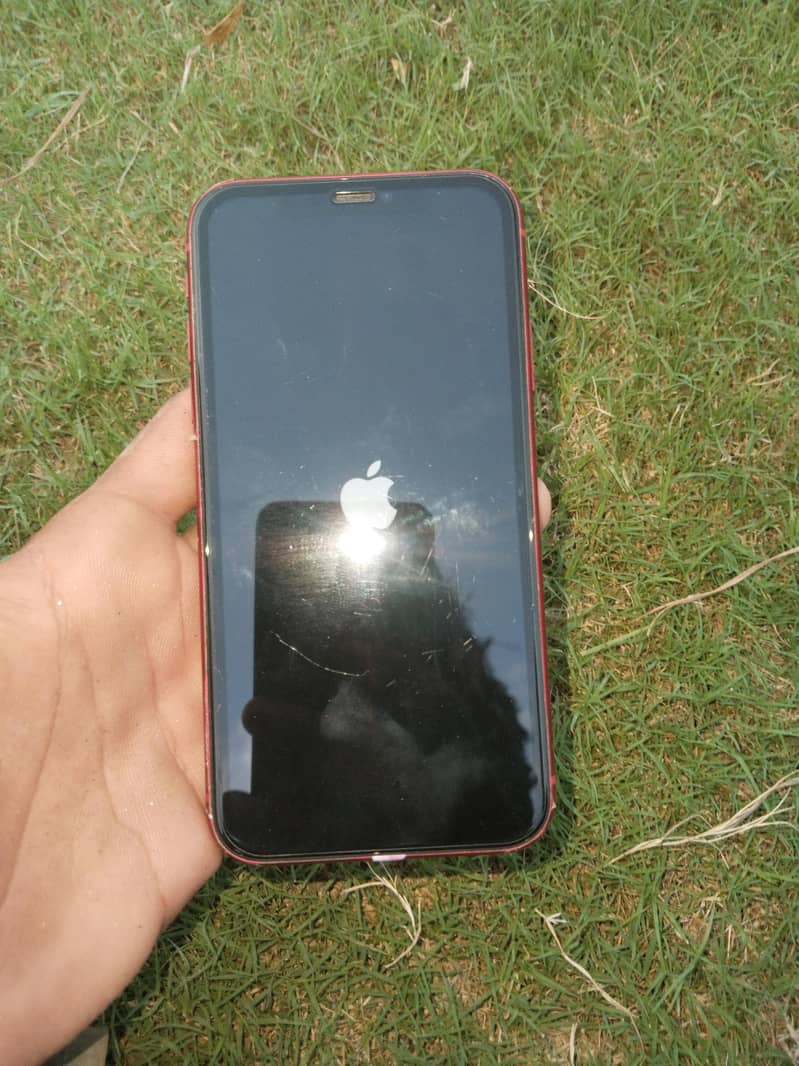 Apple iPhone 11 0