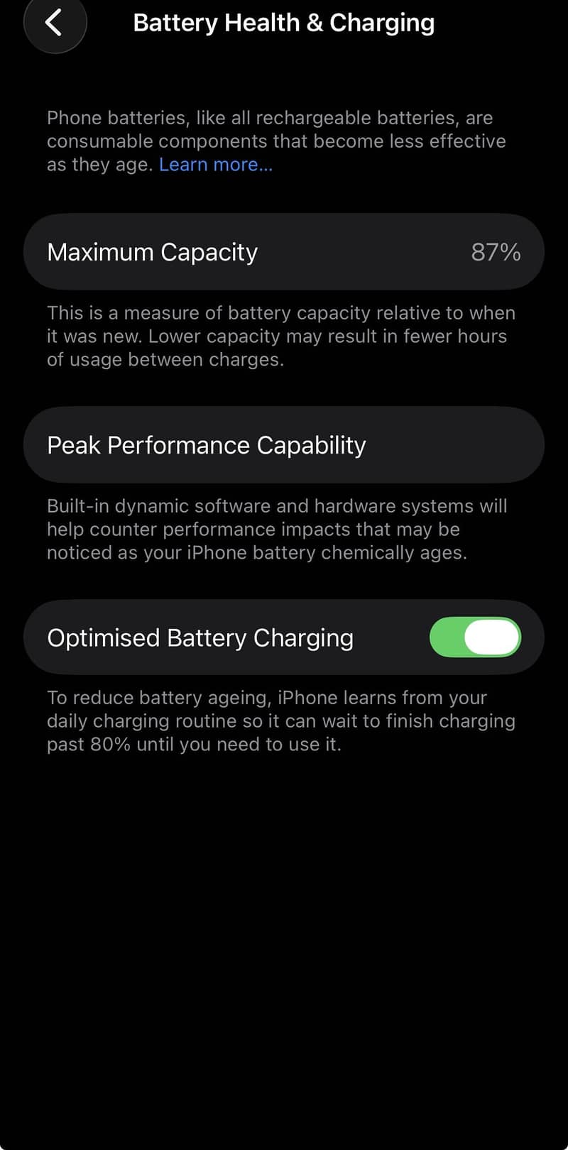 Apple iPhone 13 0