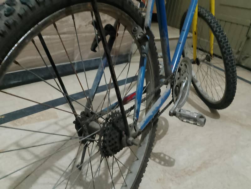 Phoenix Cycle 2