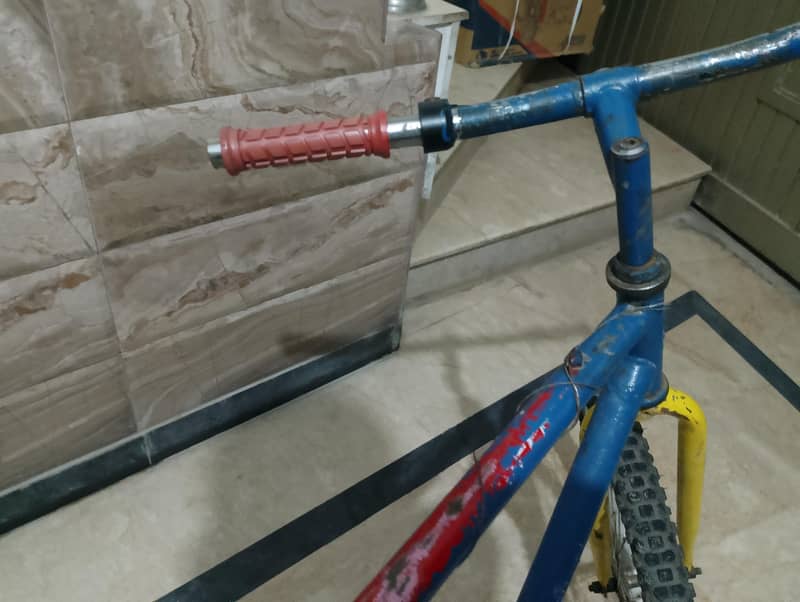 Phoenix Cycle 3