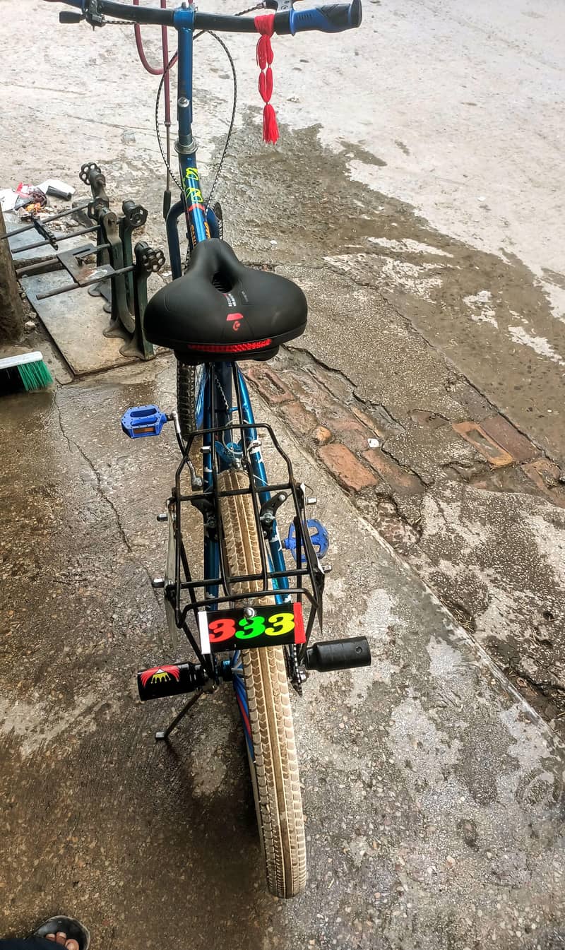 Phonixcycle 1