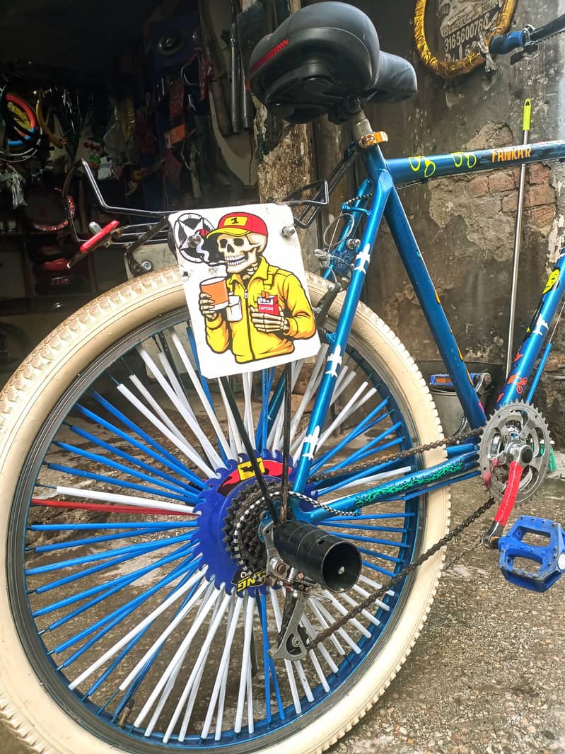 Phonixcycle 6