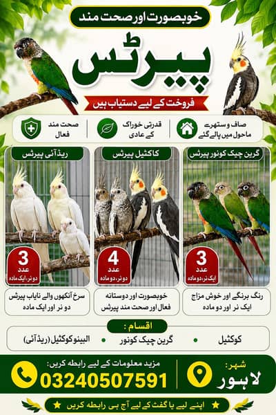 Sare parrots sale karne hain pics lagi hain