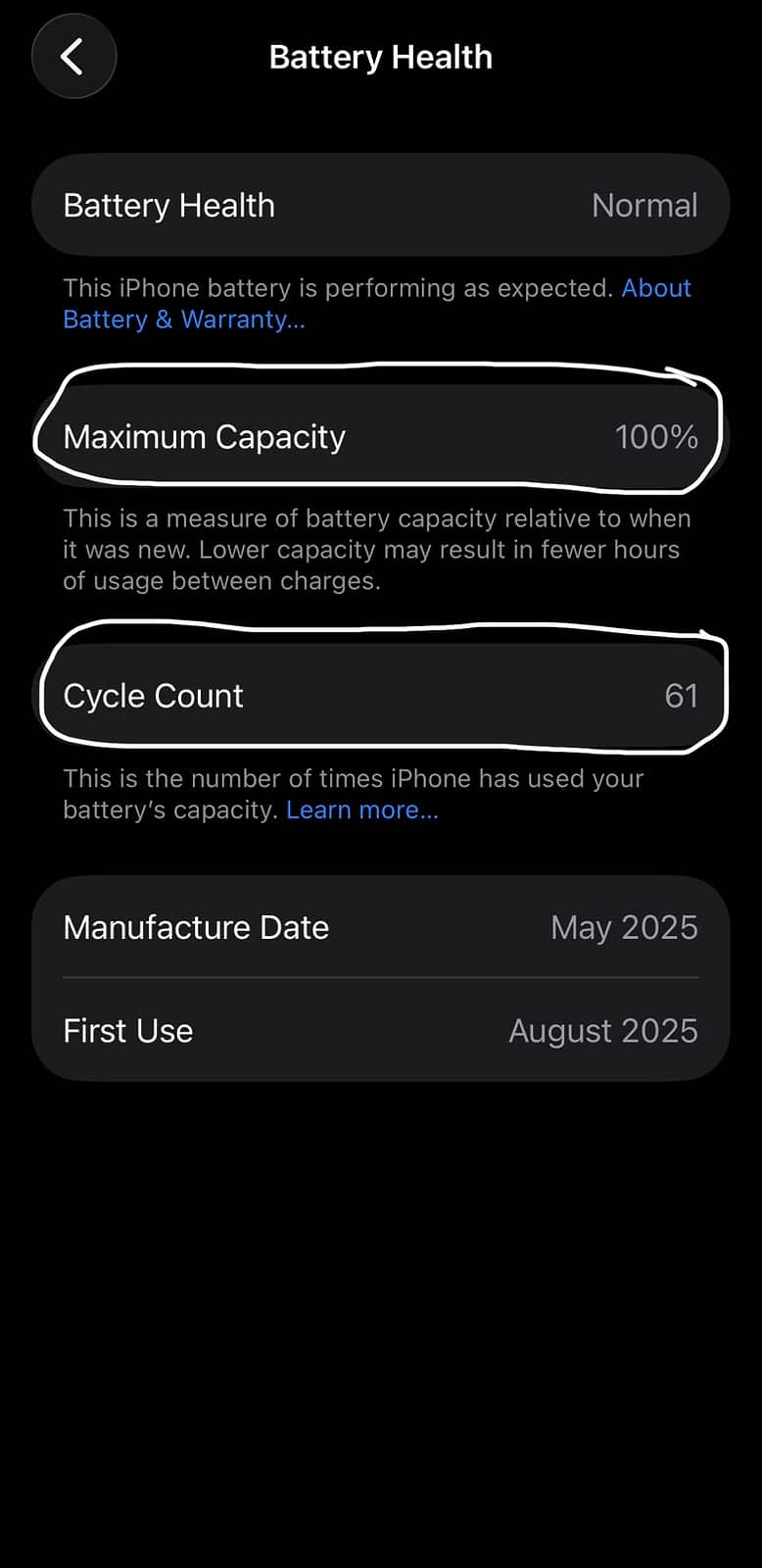 Apple iPhone 16e 12