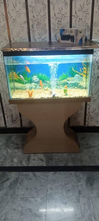 fish aquarium for sale