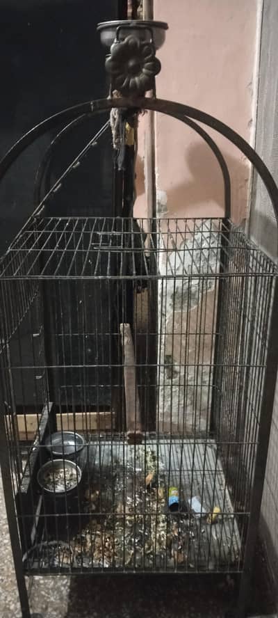 fancy cage for parrot