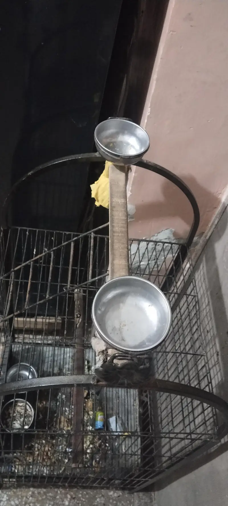 fancy cage for parrot — photo 3
