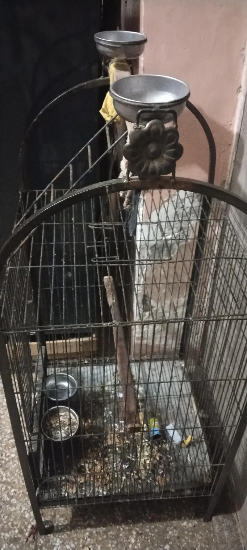 fancy cage for parrot — photo 4