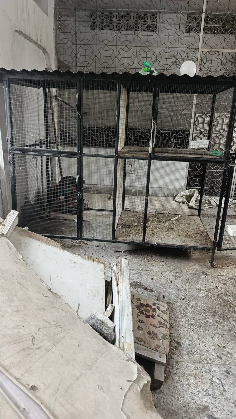 چار خانوں پندرہ 1