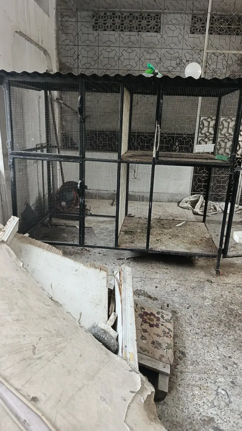 چار خانوں پندرہ — photo 2