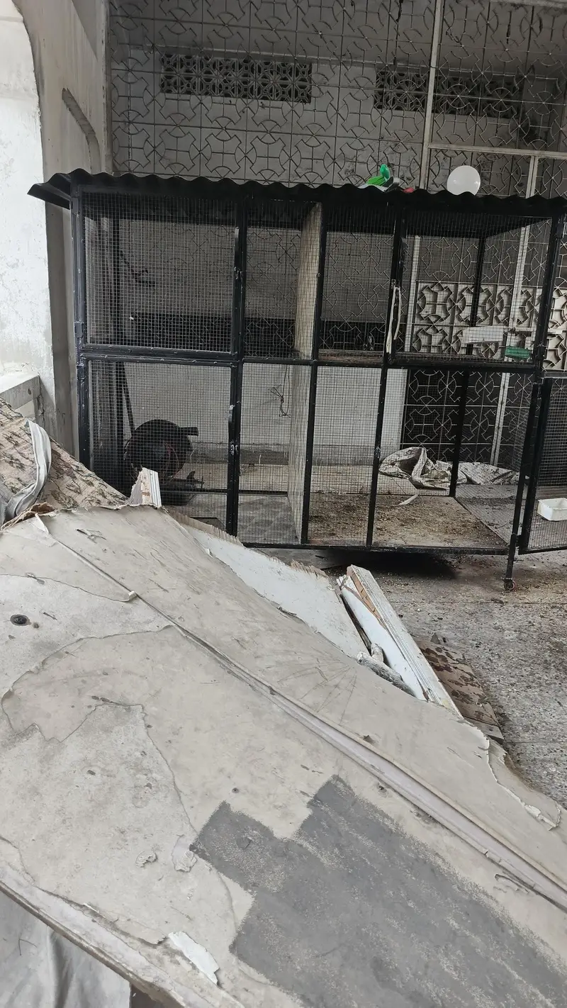 چار خانوں پندرہ — photo 3
