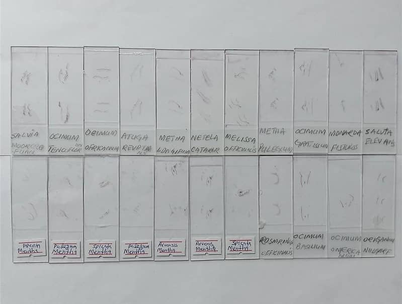 Microscope Slides 0