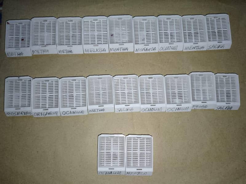 Microscope Slides 1