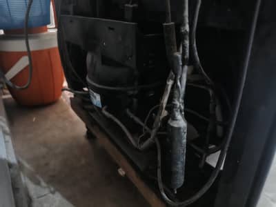 h zone plus
