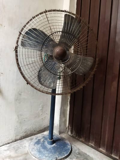pak fan