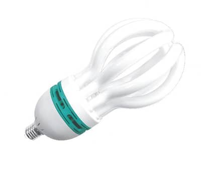 Energy Savers Bulbs