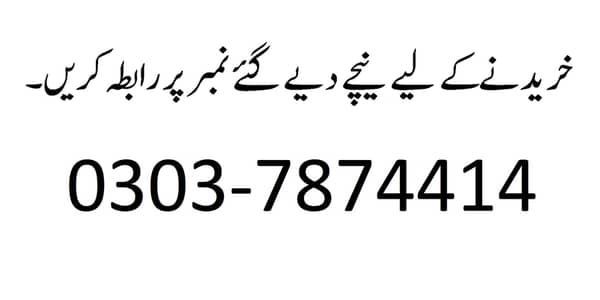Pure Desi Cock (Rooster) (Desi Murgha) خالص دیسی نسل کا مرغا