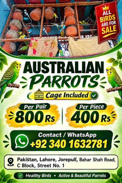 Australian Parrots Available 60,70 breeder Pieces