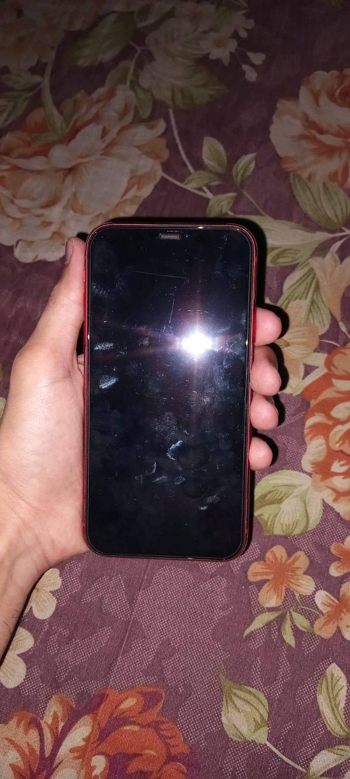 Apple iPhone 11 5
