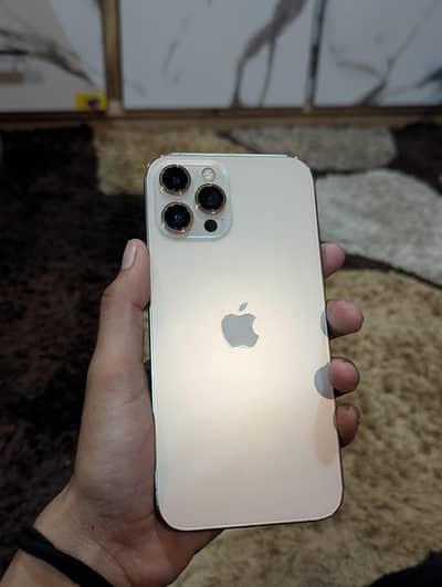 Apple iPhone 12 pro max