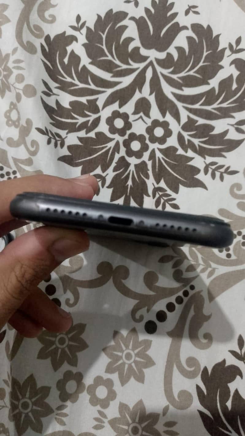 Apple iPhone 11 2