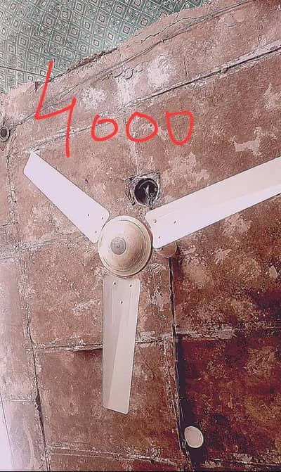 GFC selling Fan 56"
