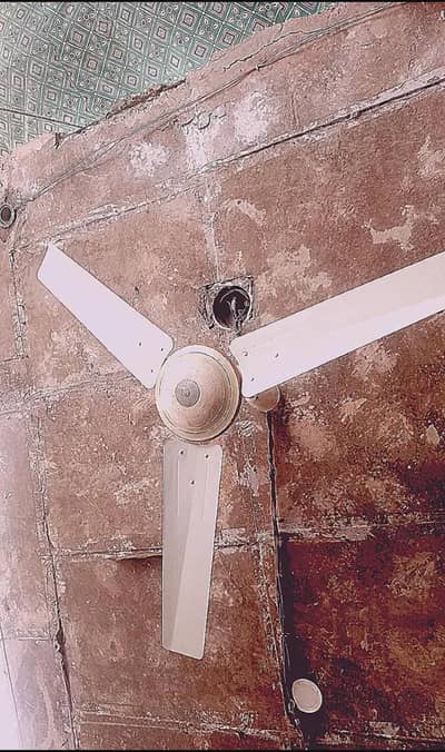 GFC selling Fan 56"