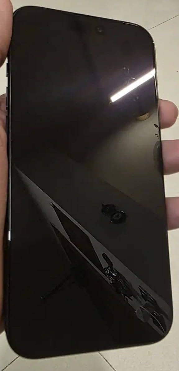 Apple iPhone 16 Pro Max 1