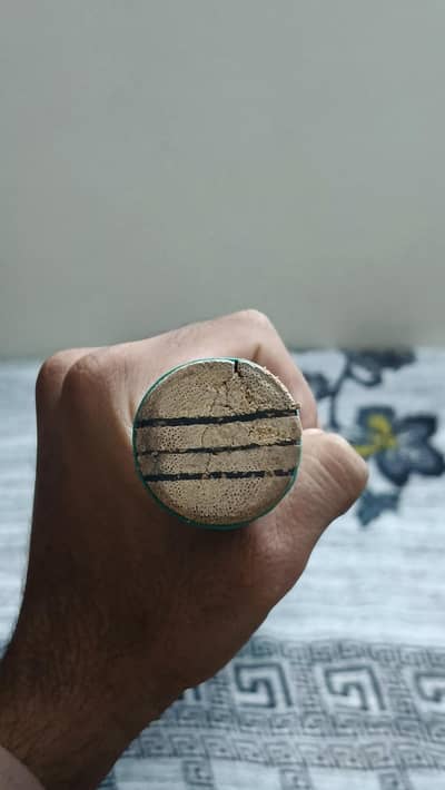 cricket hard ball bat