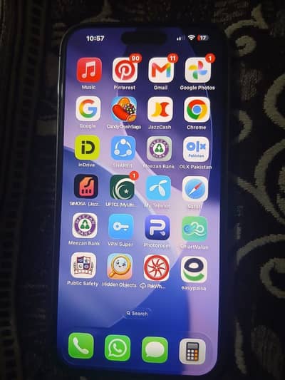 Apple iPhone 14 Pro Max