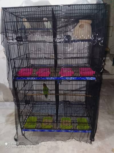 Brand new cage ha 2 week bhe Nahi use hoa folding cage  try bhe new ha