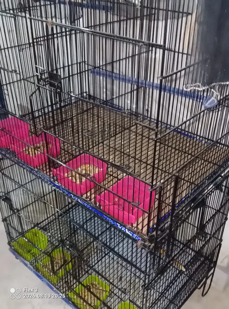 Brand new cage ha 2 week bhe Nahi use hoa folding cage  try bhe new ha — photo 2